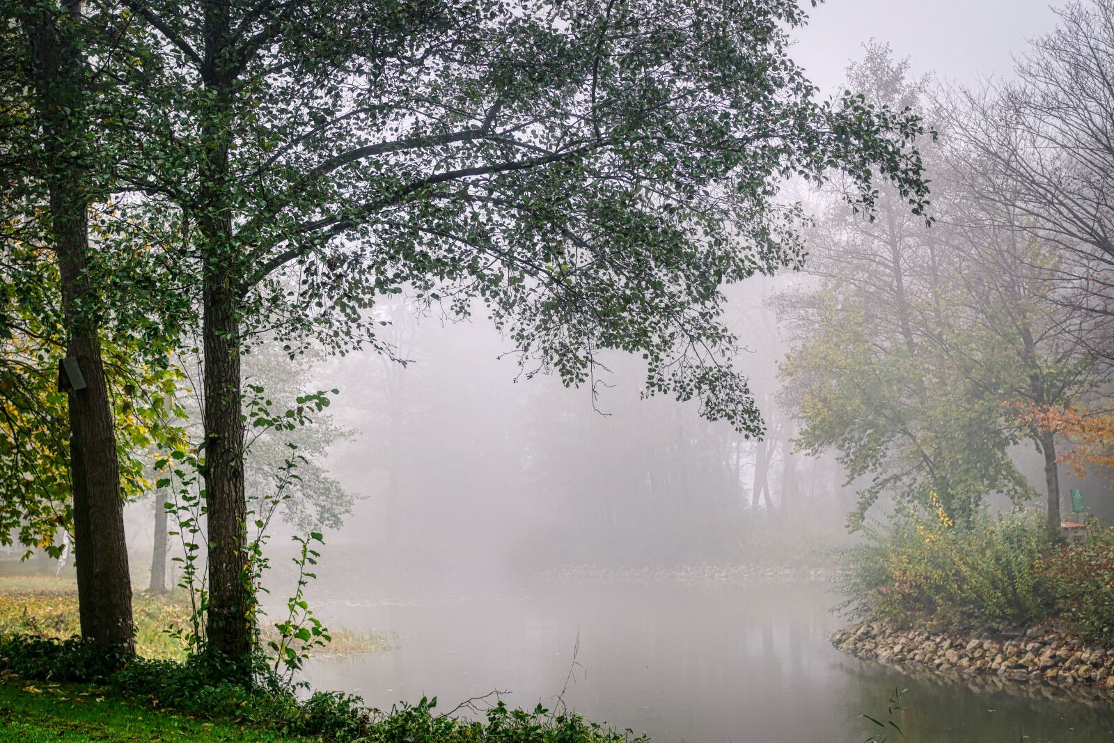 Panasonic Lumix DC-G90 (Lumix DC-G91) sample photo. Fog, river, water photography