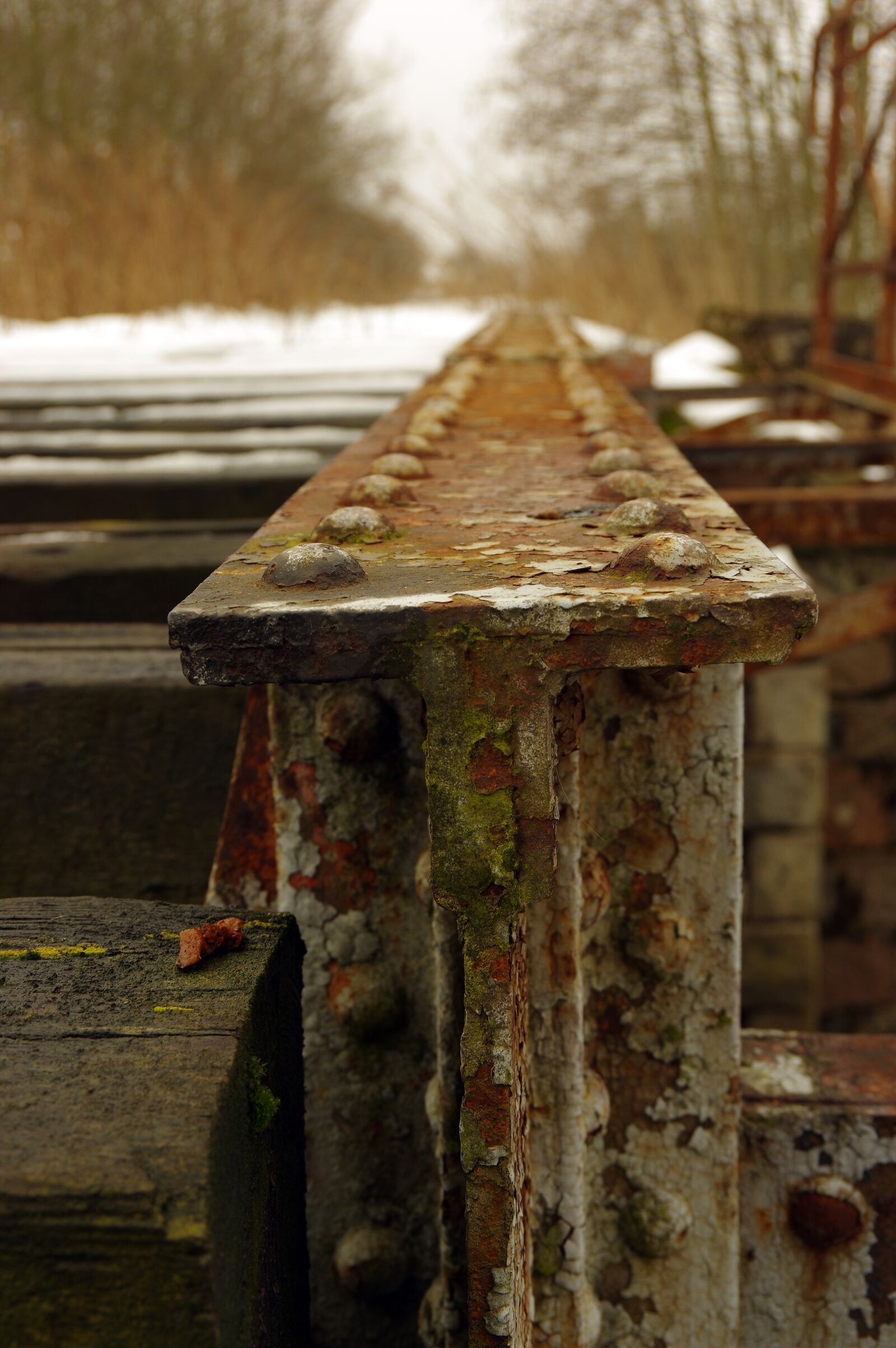 Pentax K-3 II sample photo. Viaduct, tracks, old tracks photography