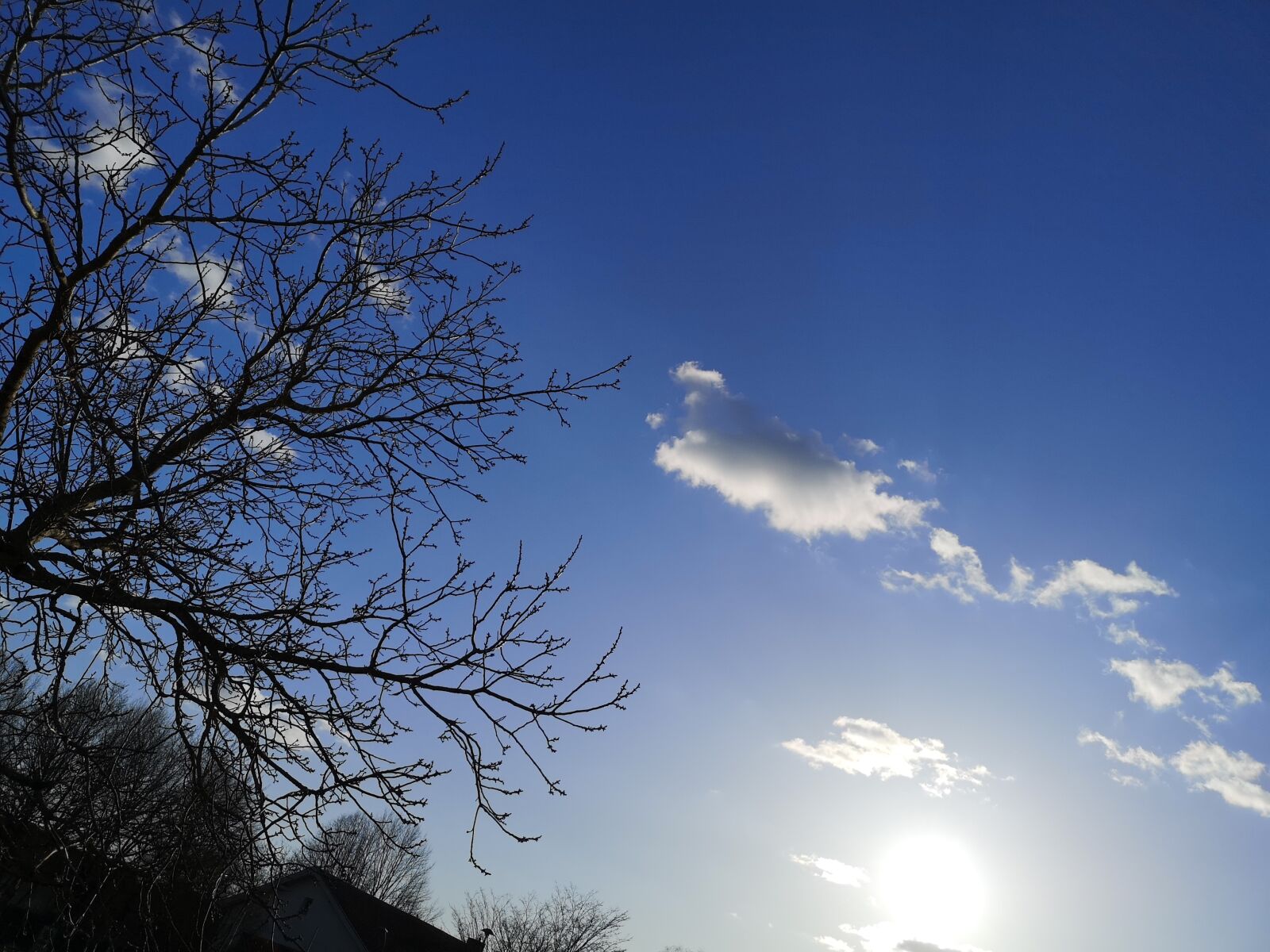 HUAWEI CLT-L29 sample photo. Sky, clouds, sun photography