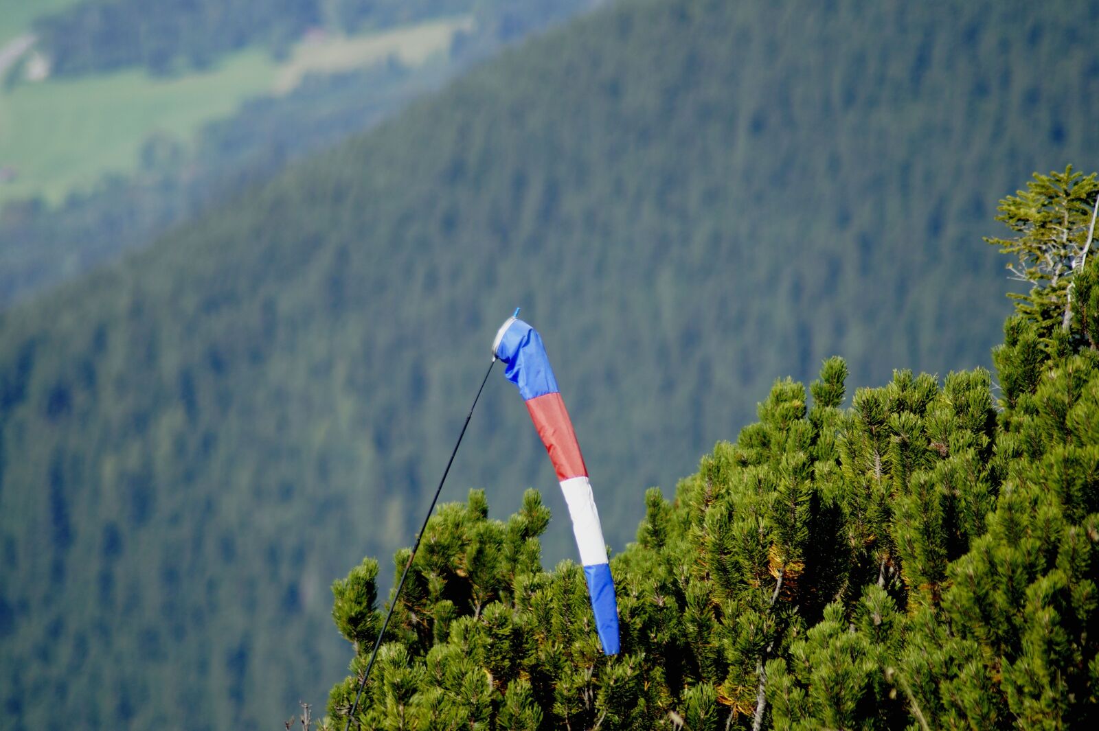 Sony SLT-A58 sample photo. Wind sock, wind vane photography