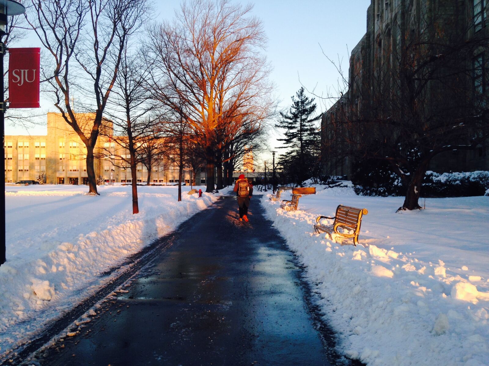 iPhone 5c back camera 4.12mm f/2.4 sample photo. Bench, chilly, cold, dawn photography
