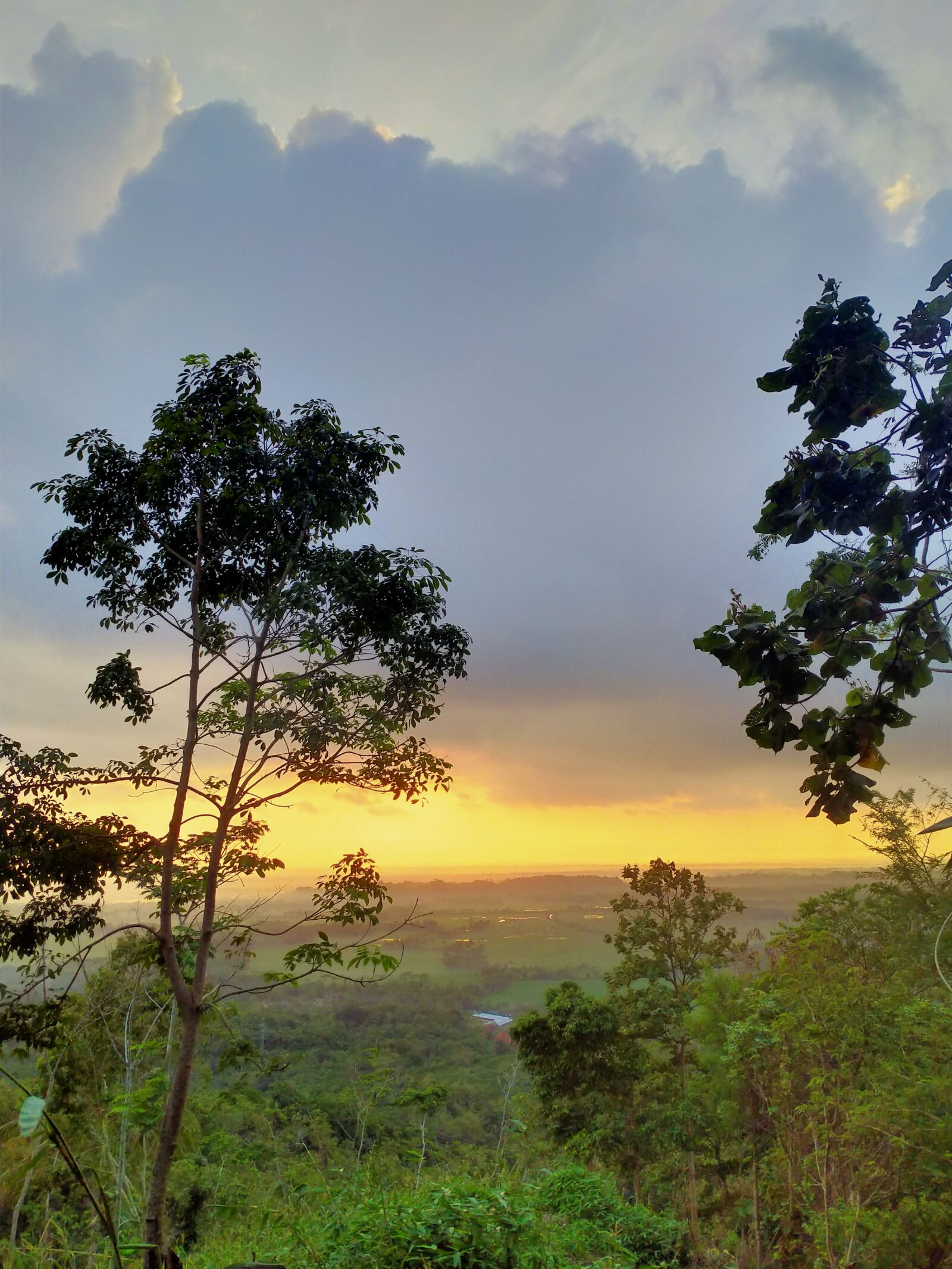 Realme 5I sample photo. Morning, sunrise, trees photography