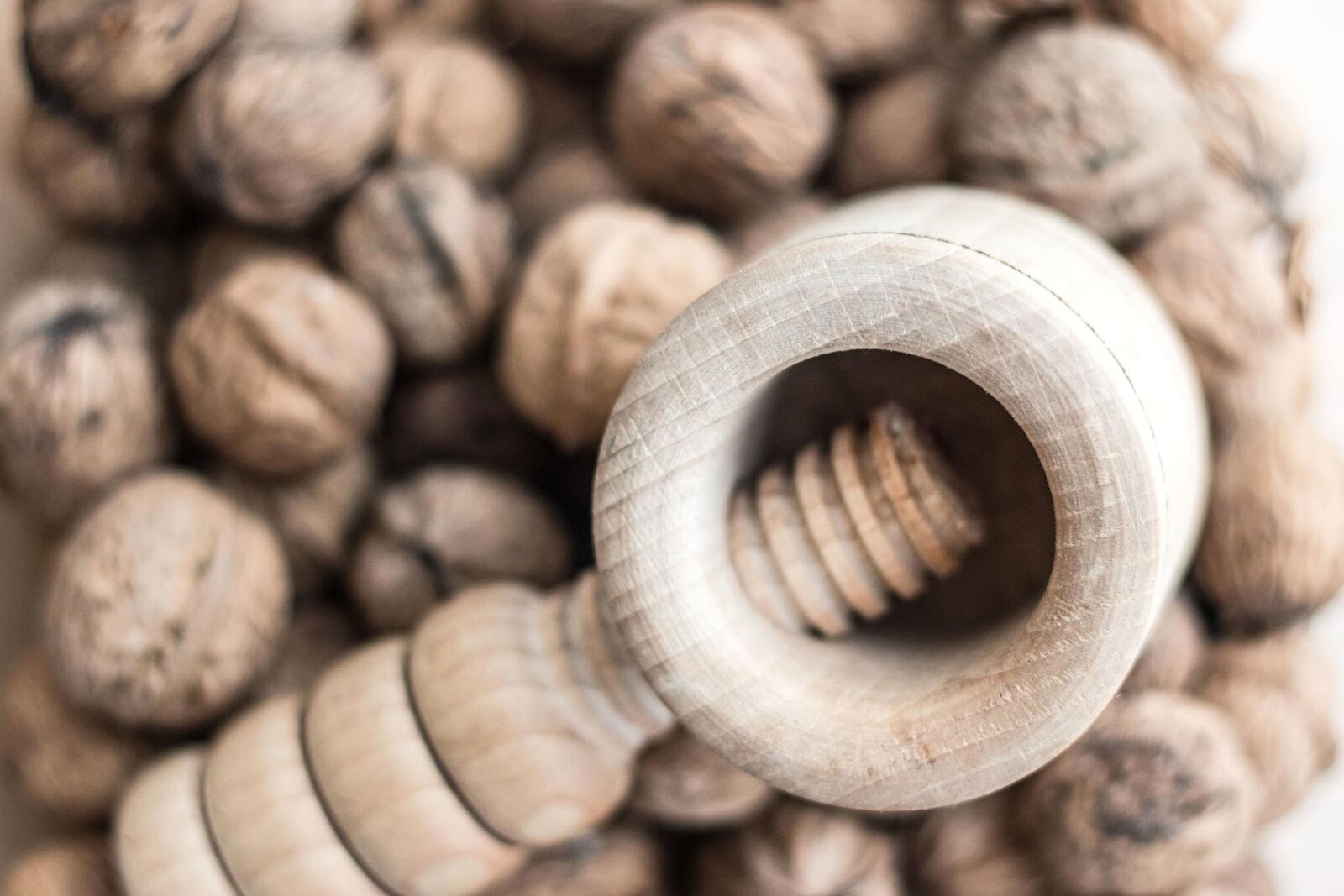 Canon EOS 70D sample photo. Walnut, fruit, food, tool photography