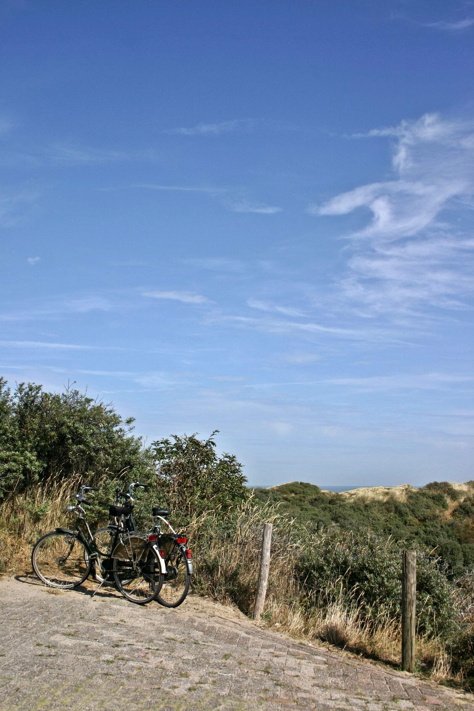 Canon EOS 300D (EOS Digital Rebel / EOS Kiss Digital) sample photo. Dunes, dune landscape, sea photography