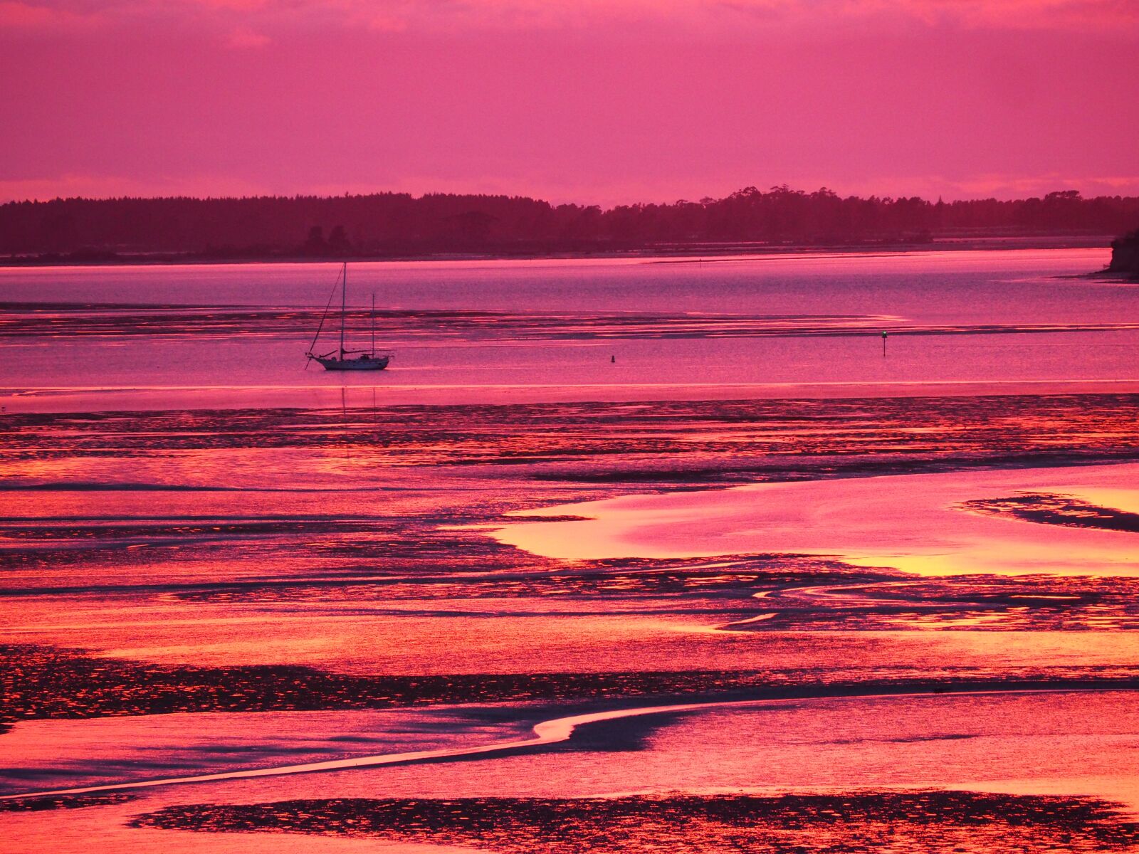 Olympus OM-D E-M10 sample photo. Sunrise, purple, red photography