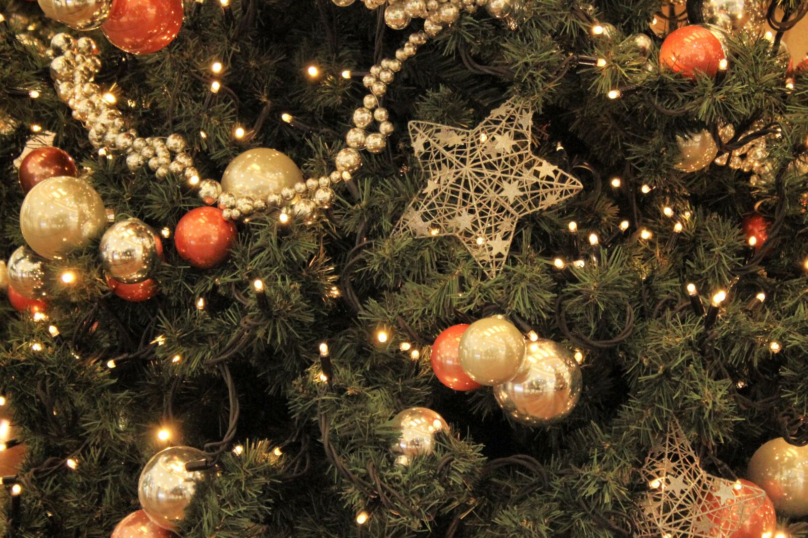 Canon EOS 1300D (EOS Rebel T6 / EOS Kiss X80) sample photo. Christmas tree, herringbone, christmas photography