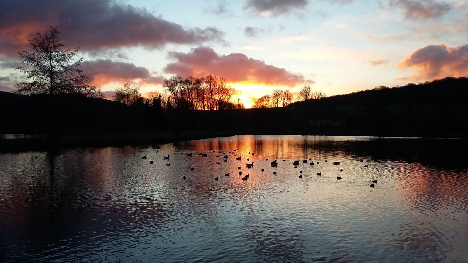 Samsung Galaxy A3 sample photo. Lake, ducks, sunrise photography