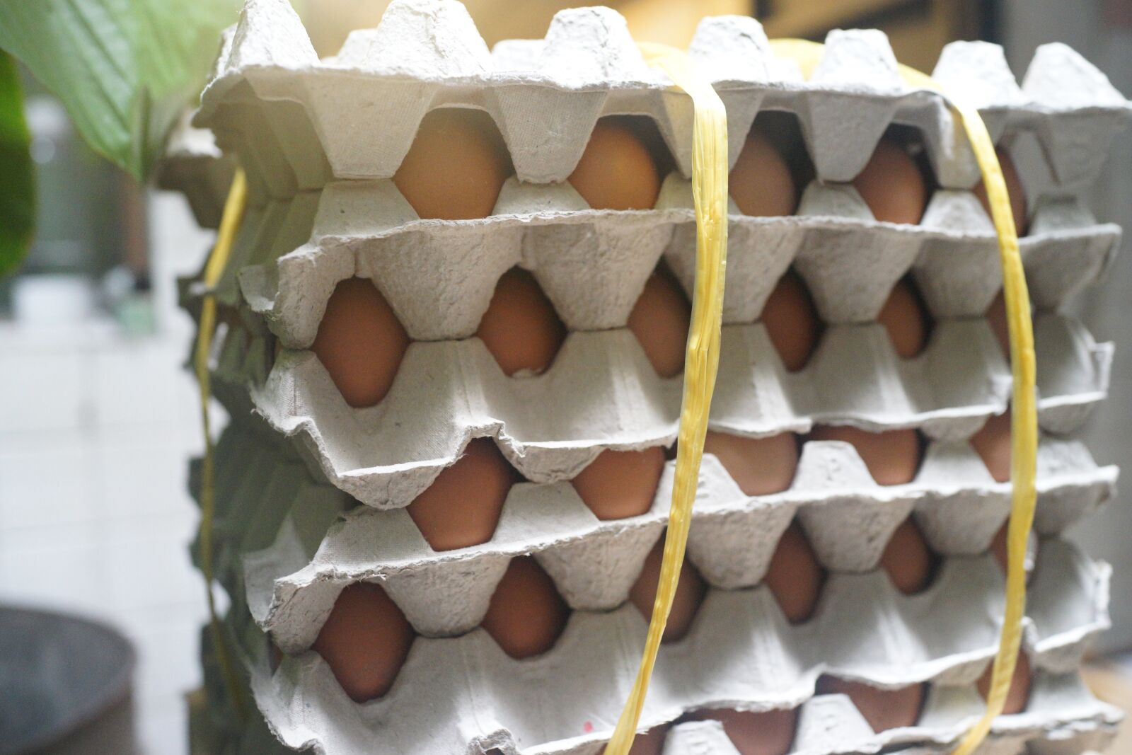 Sony Cyber-shot DSC-RX1R sample photo. Eggs, commercial kitchen, eggs photography