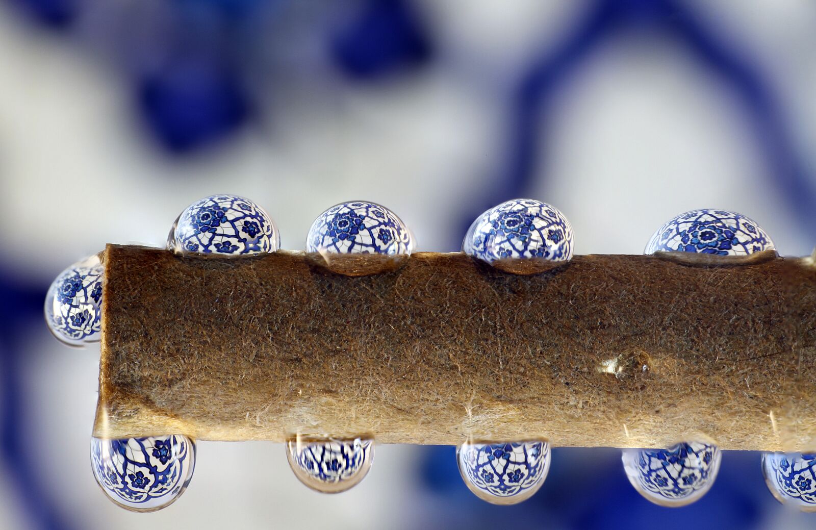 Canon EOS 7D sample photo. Color, drops, macro photography