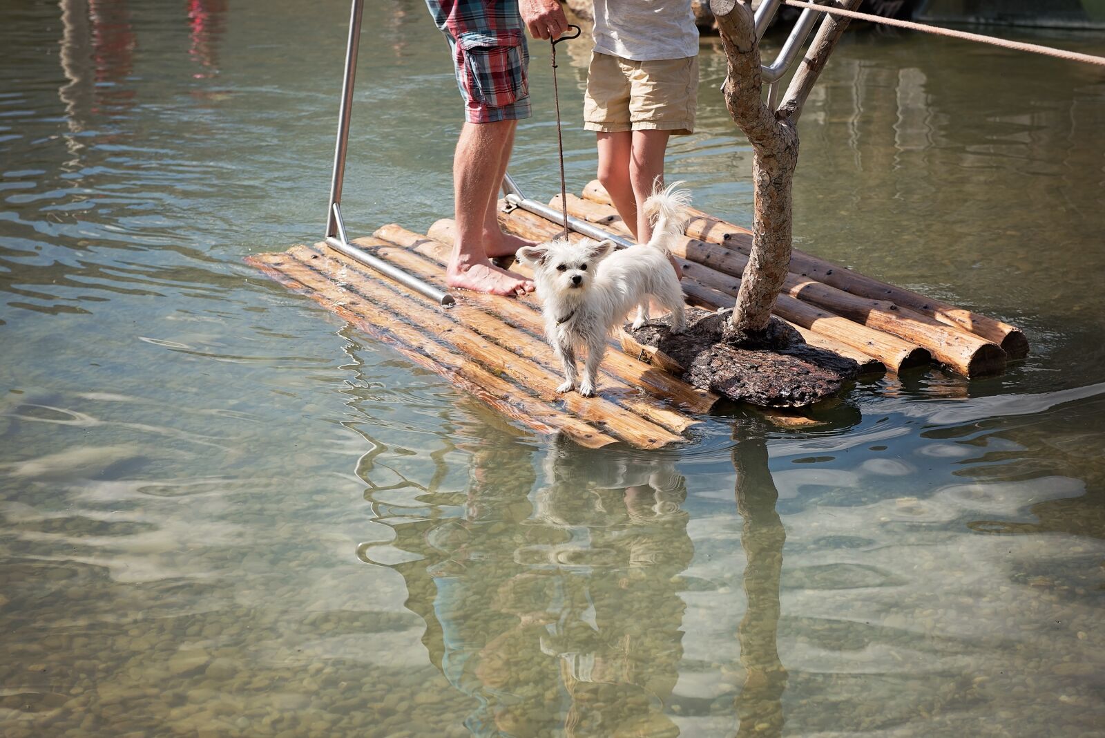Nikon D750 sample photo. Raft, water, human photography