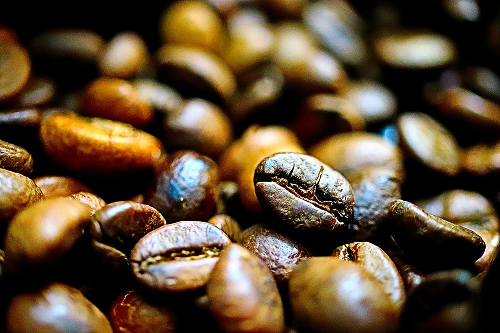 Canon EF-S 35mm F2.8 Macro IS STM sample photo. Coffee, bean, tabitha photography