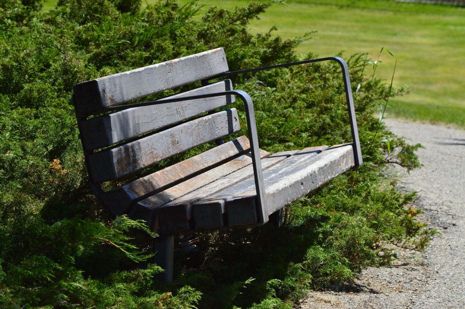 Nikon D3200 sample photo. Bench, park, seating photography