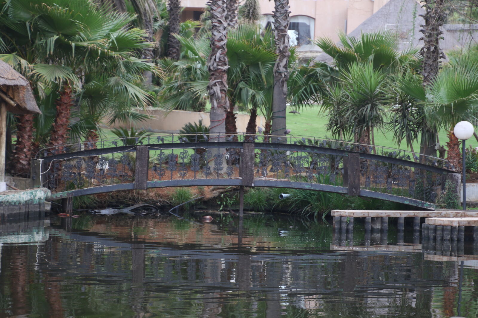 Canon EOS 7D Mark II sample photo. Bridge, family, garden, home photography