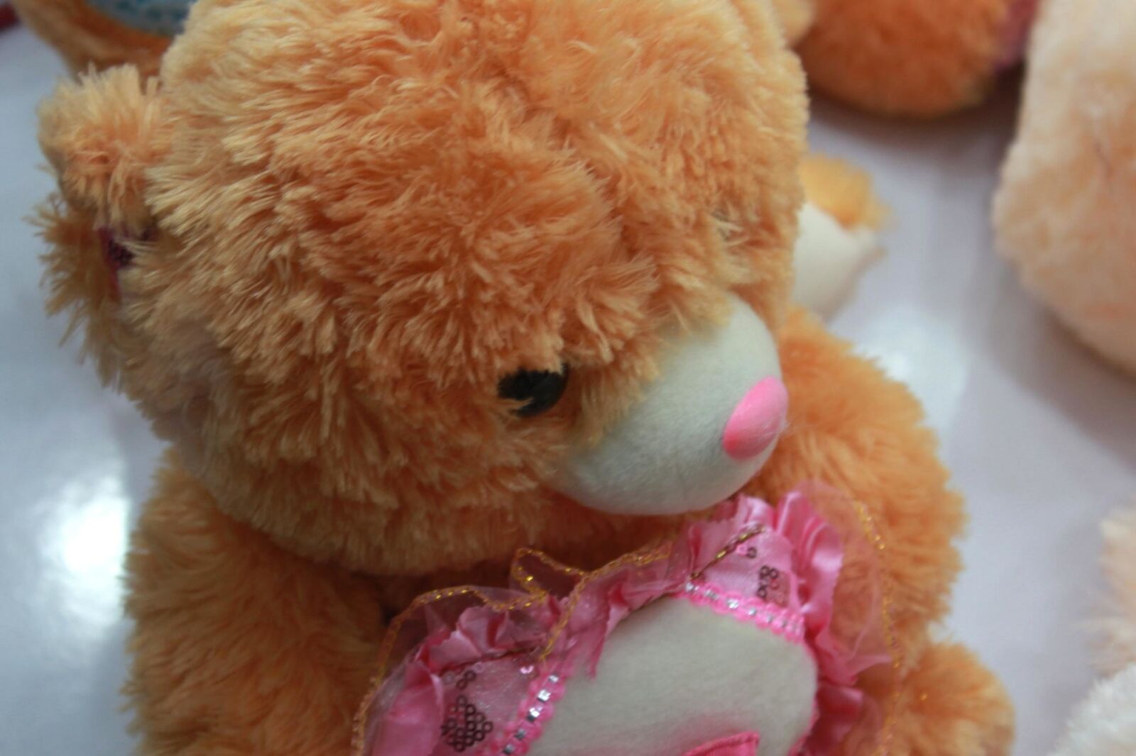 Canon EOS 500D (EOS Rebel T1i / EOS Kiss X3) sample photo. Cute, plaything, teddy bear photography