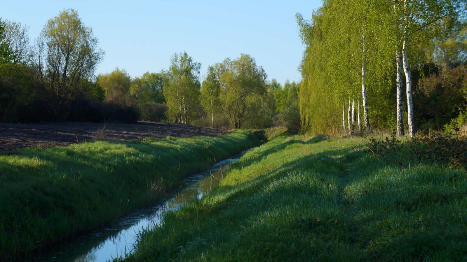 Sony Alpha a3000 + Sony E 18-55mm F3.5-5.6 OSS sample photo. Nature, landscape, ditch photography