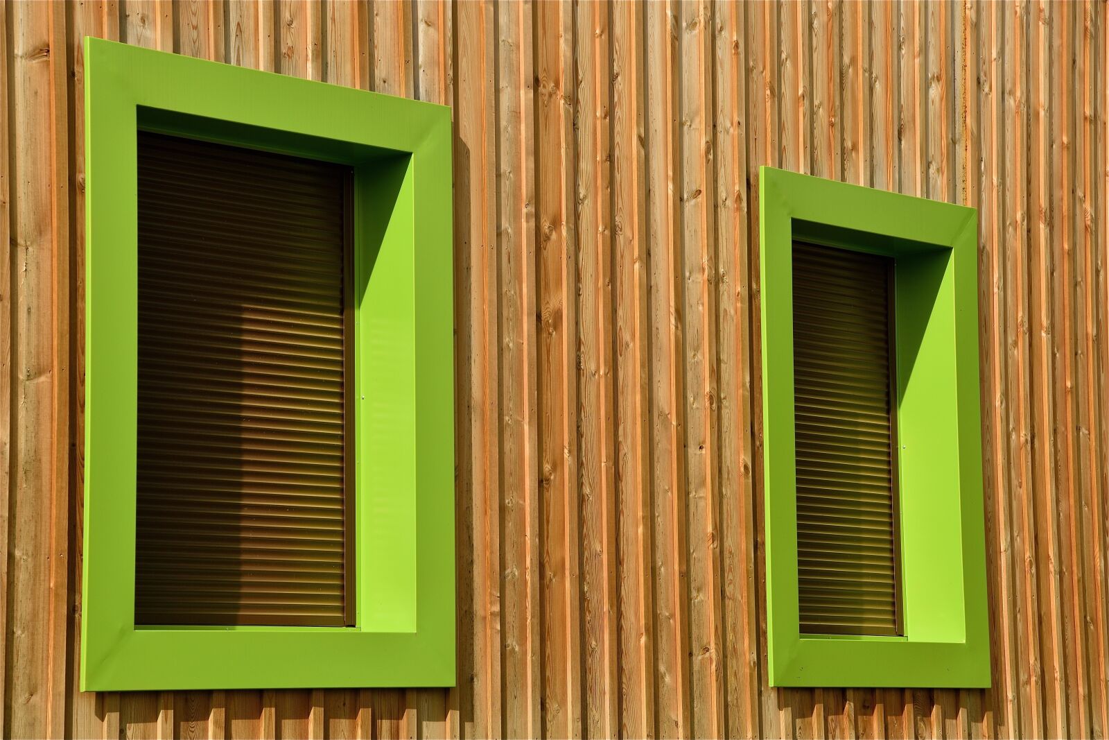 Nikon D5600 sample photo. Building, window, structure photography