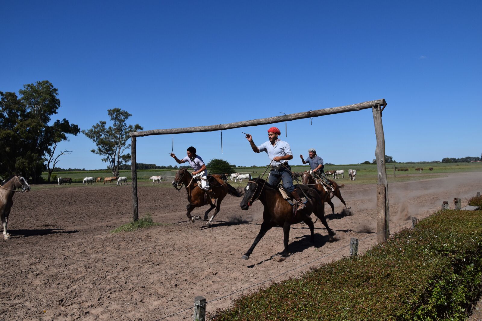 Nikon D5600 sample photo. Argentina, buenos aires, ride photography