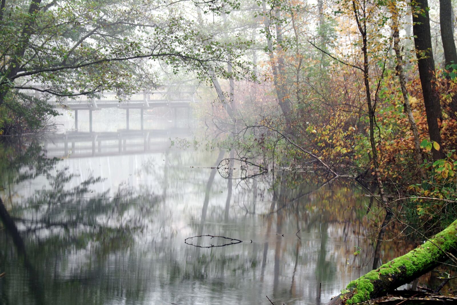 Pentax K-S2 sample photo. Bridge, wooden, old photography