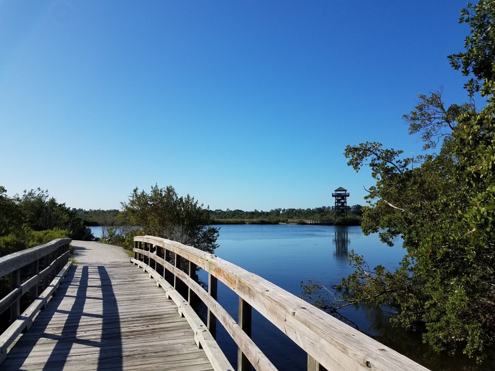 Samsung Galaxy S7 Edge sample photo. Preserve, water, nature photography
