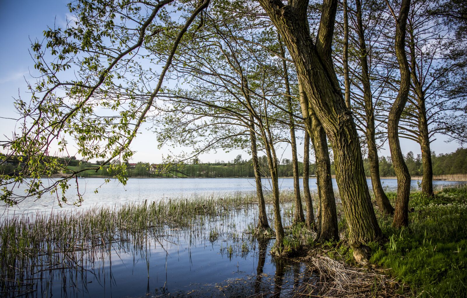 Nikon D7100 sample photo. Lake, trees, summer photography