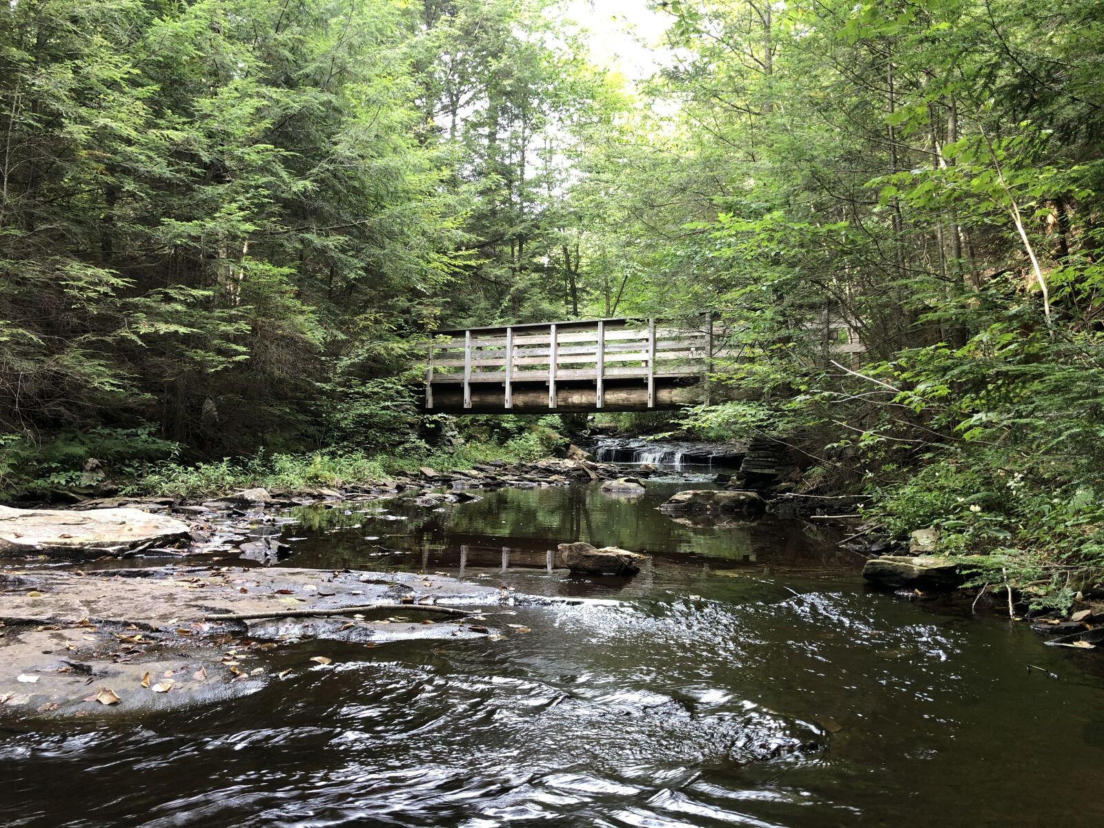 iPhone X back dual camera 4mm f/1.8 sample photo. Bridge, nature, pennsylvania photography