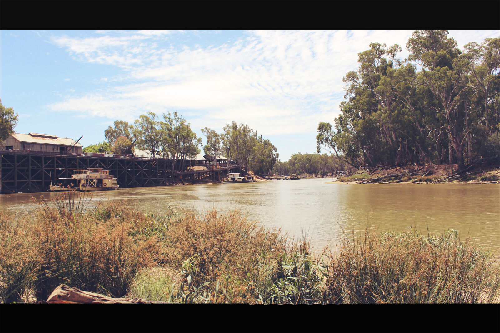 Canon EOS 600D (Rebel EOS T3i / EOS Kiss X5) sample photo. Bush, river, sky, trees photography