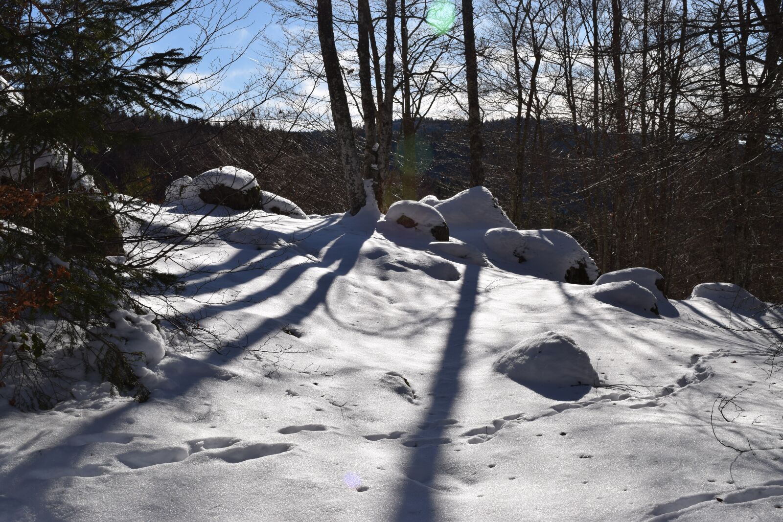 Nikon D5300 sample photo. Snow, shadows, tree photography