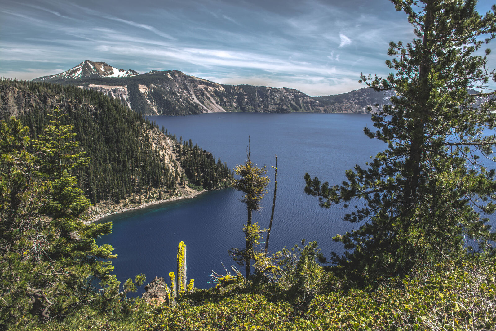 Nikon D5200 sample photo. Conifer, daylight, evergreen, lagoon photography