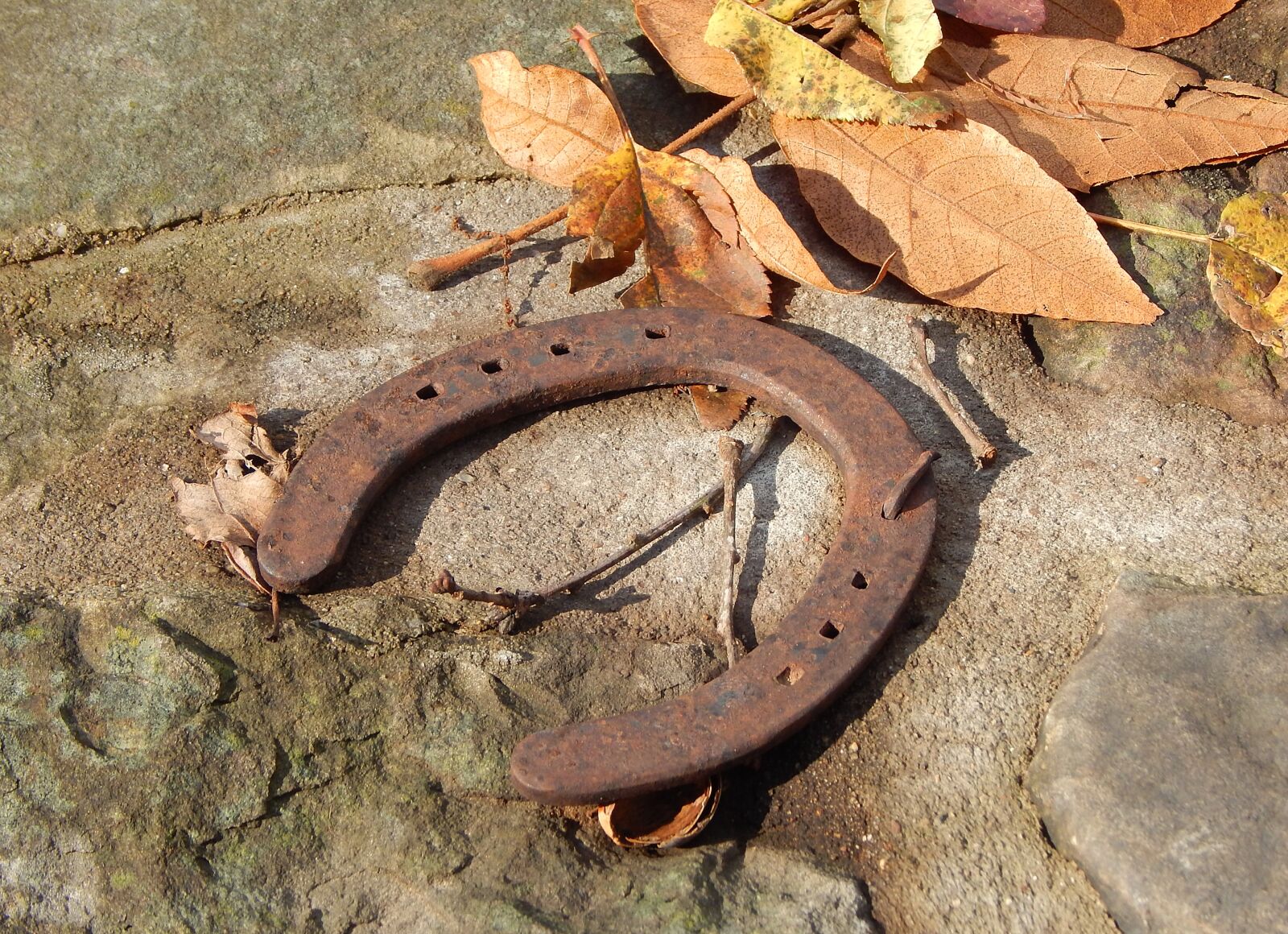 Nikon Coolpix L830 sample photo. Horse shoe, stone, leaves photography