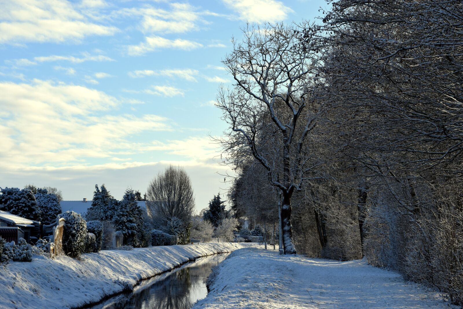 Nikon D3300 sample photo. Bach, winter, wintry photography