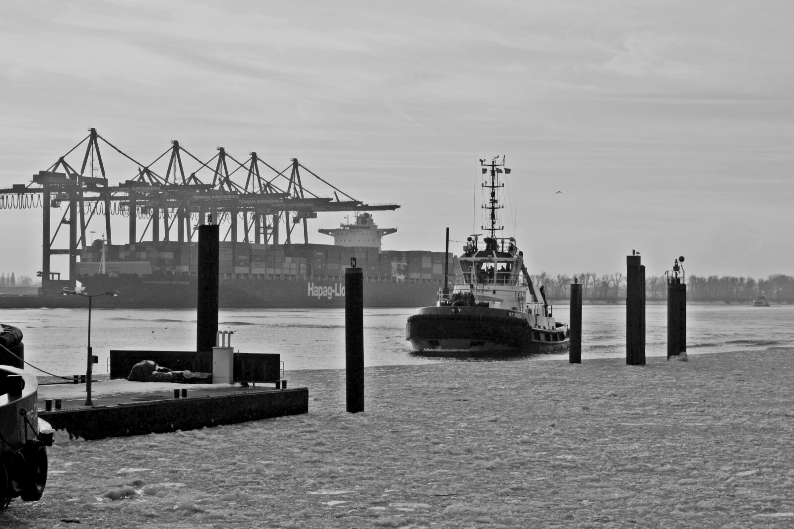 Canon EOS 1000D (EOS Digital Rebel XS / EOS Kiss F) sample photo. Harbour cruise, port motifs photography