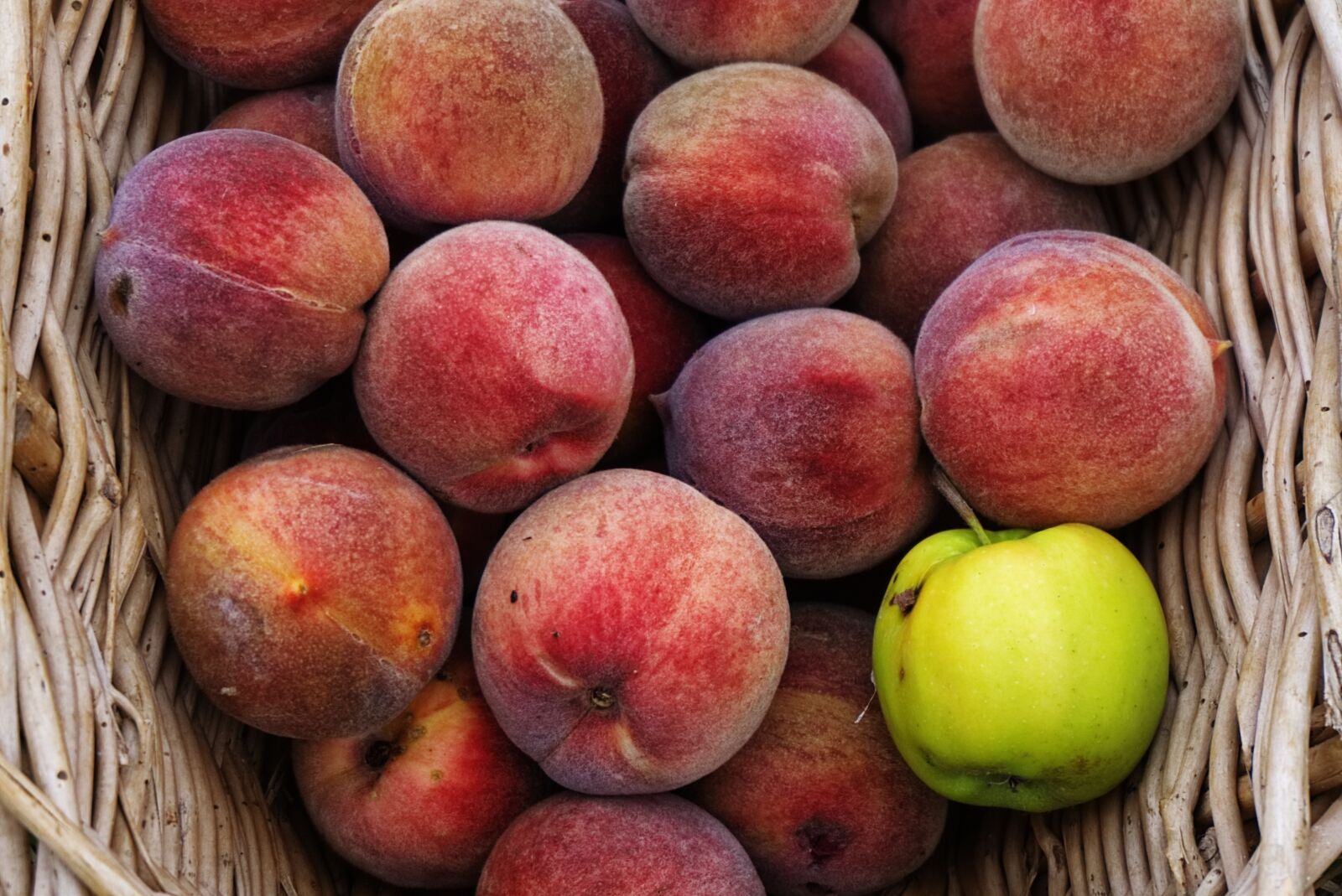Sony a6000 sample photo. Fruit, garden, fisheries photography