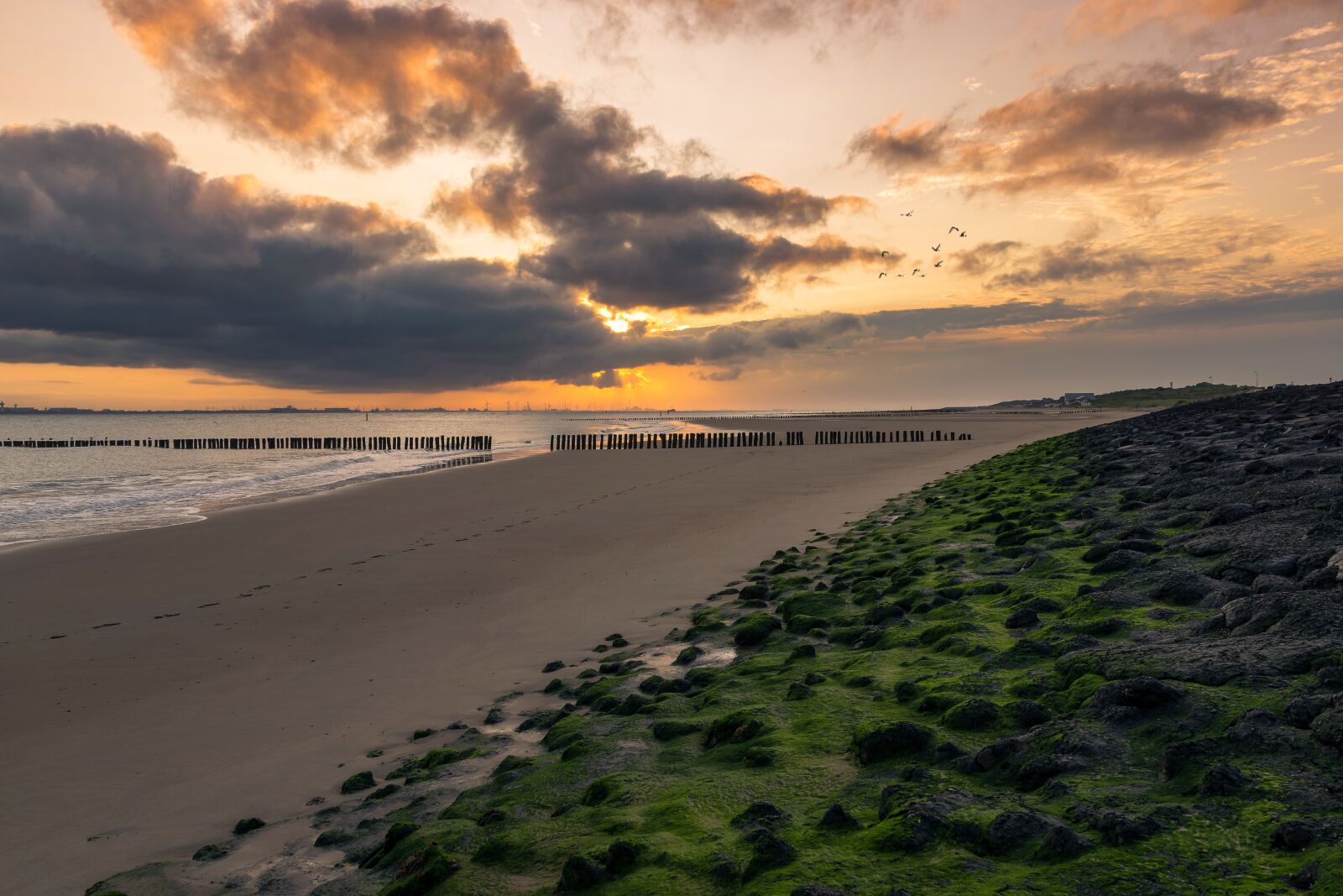 Nikon D5300 sample photo. Sunrise, sea, water photography