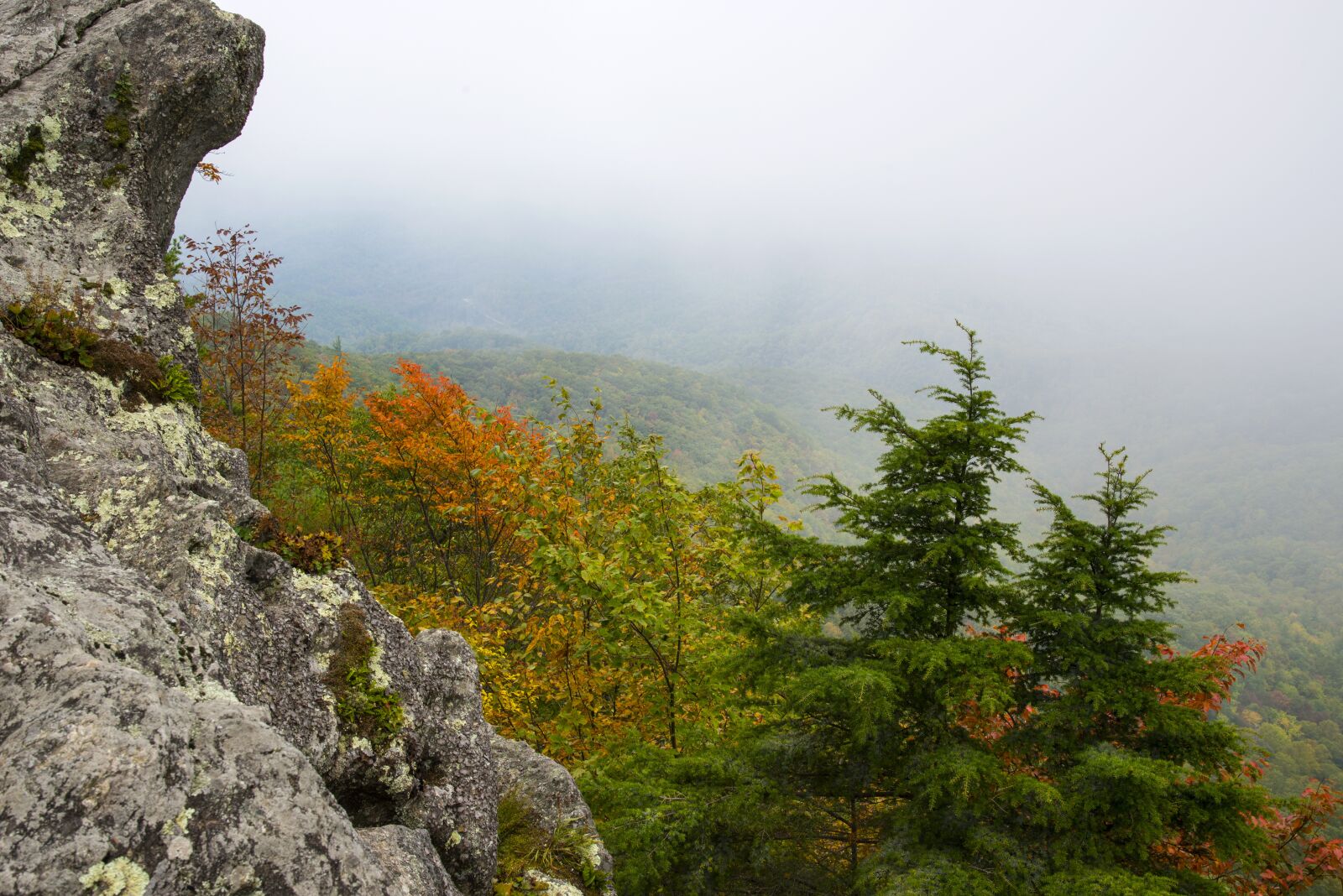 Nikon D610 sample photo. Landscape, peaceful, scenery photography