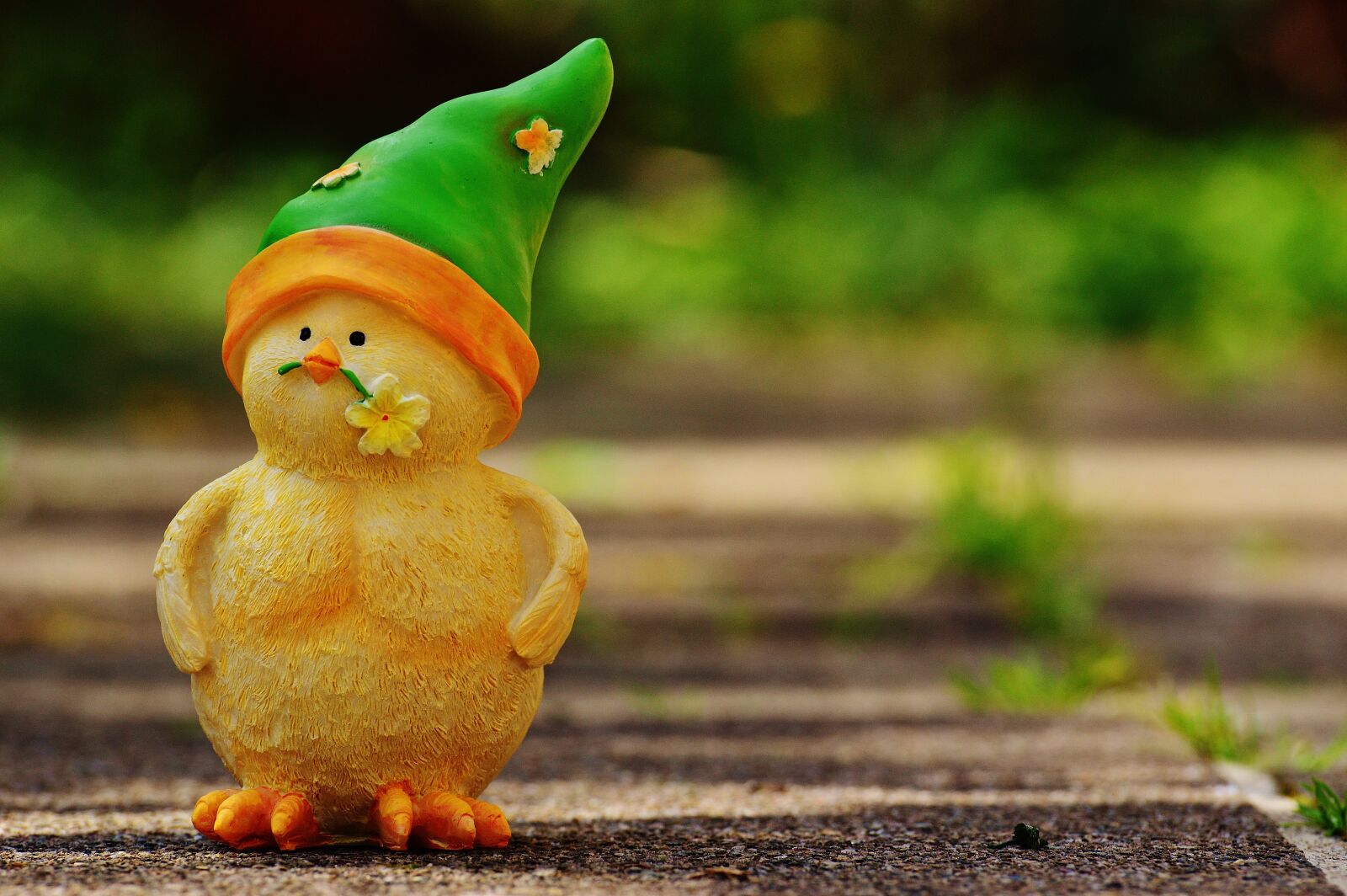 Nikon D3200 sample photo. Chicks, spring, floral photography