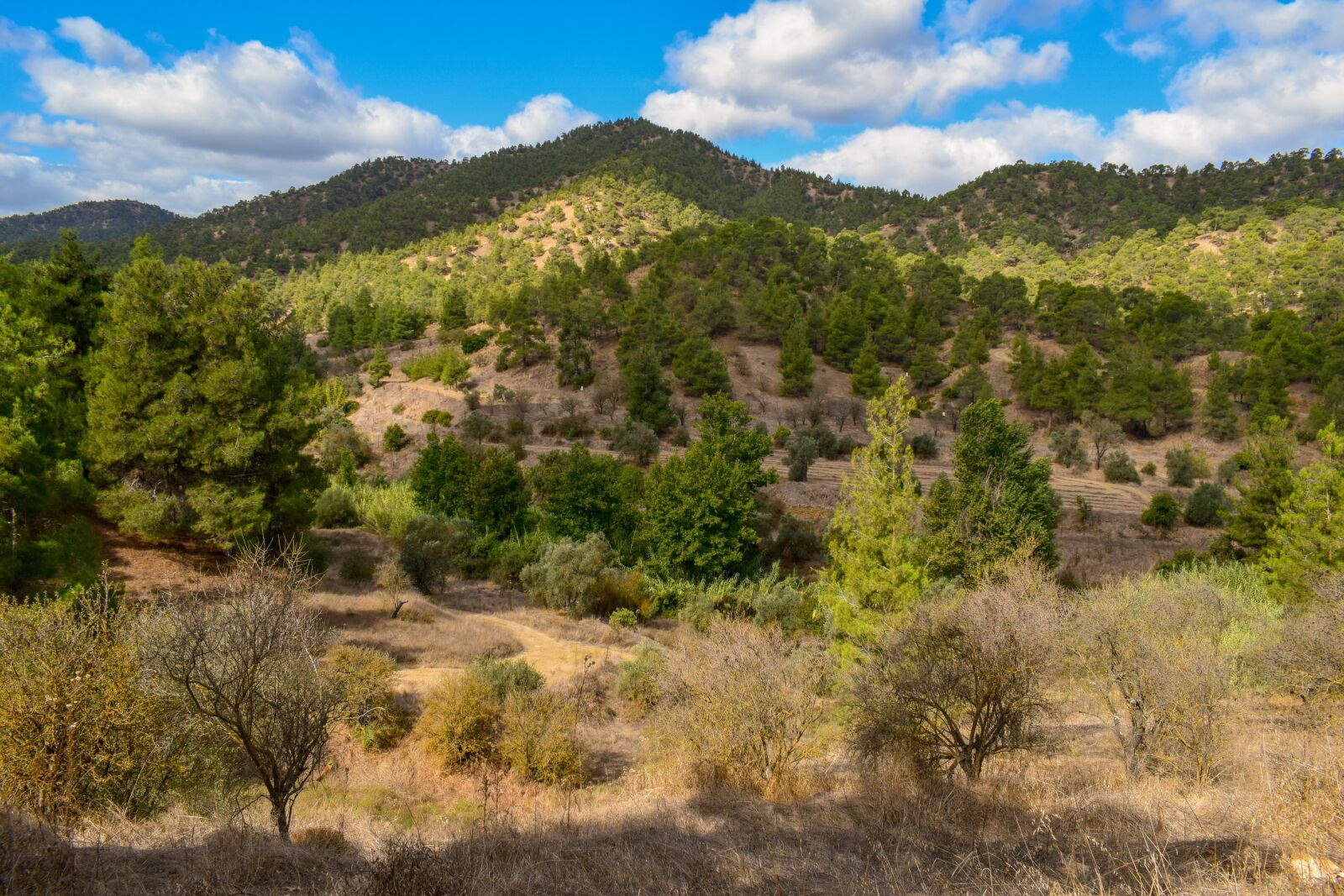 Nikon D3300 sample photo. Landscape, mountain, nature photography
