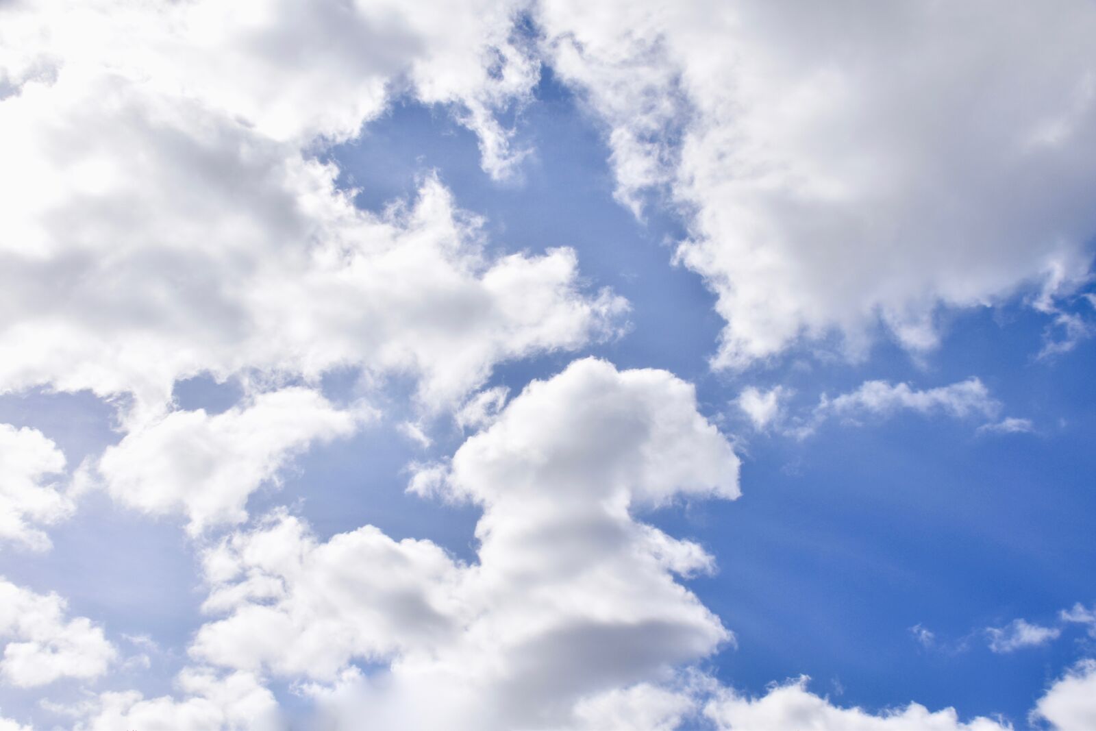 Nikon D5600 sample photo. Cloudy sky, blue sky photography