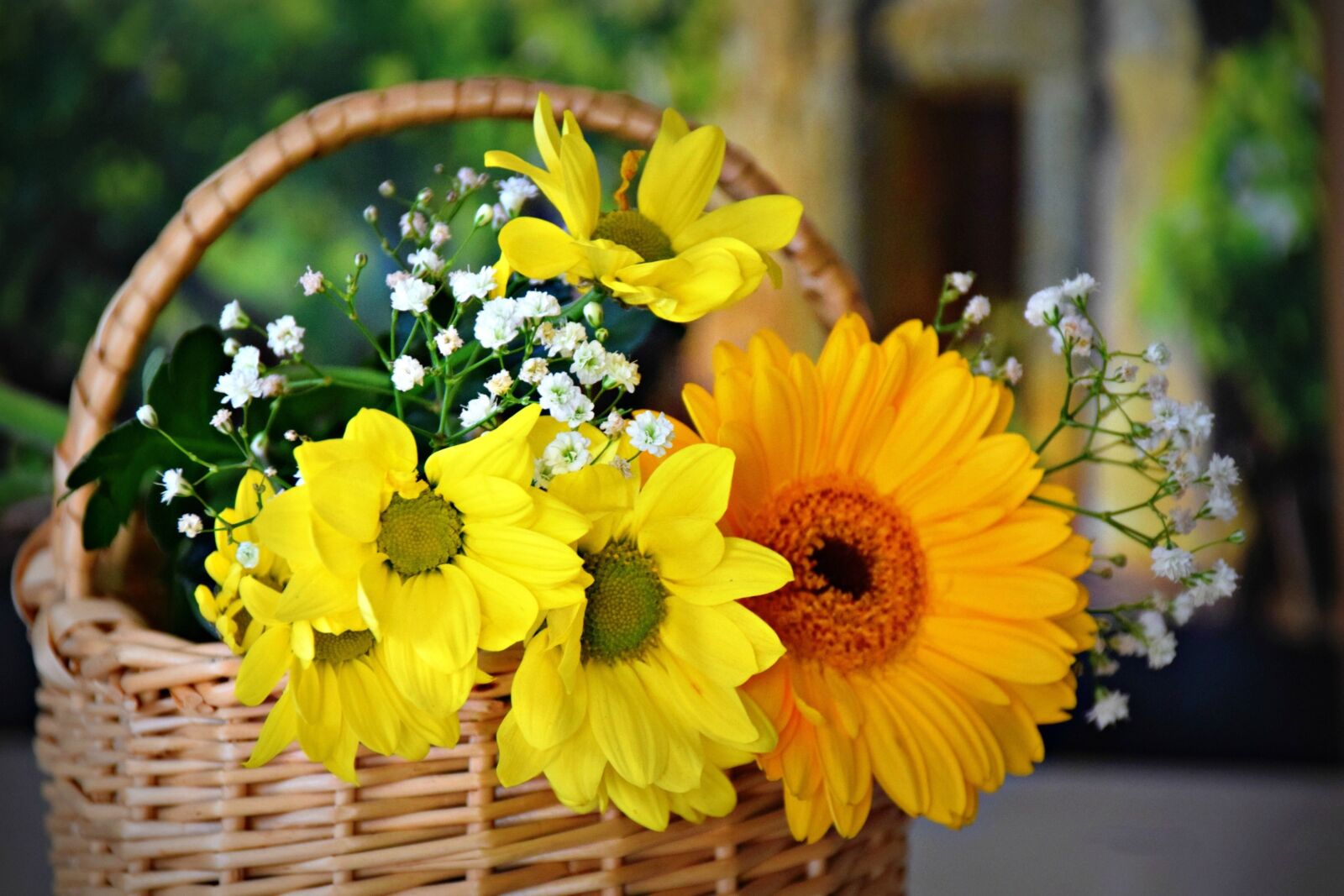 Nikon D5300 sample photo. Flowers, sunflower, summer photography