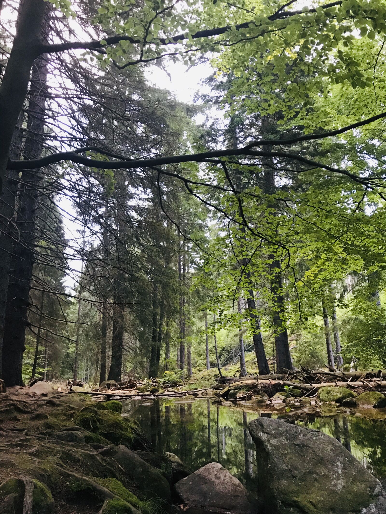 iPhone 7 back camera 3.99mm f/1.8 sample photo. Landscape, travel, nature photography