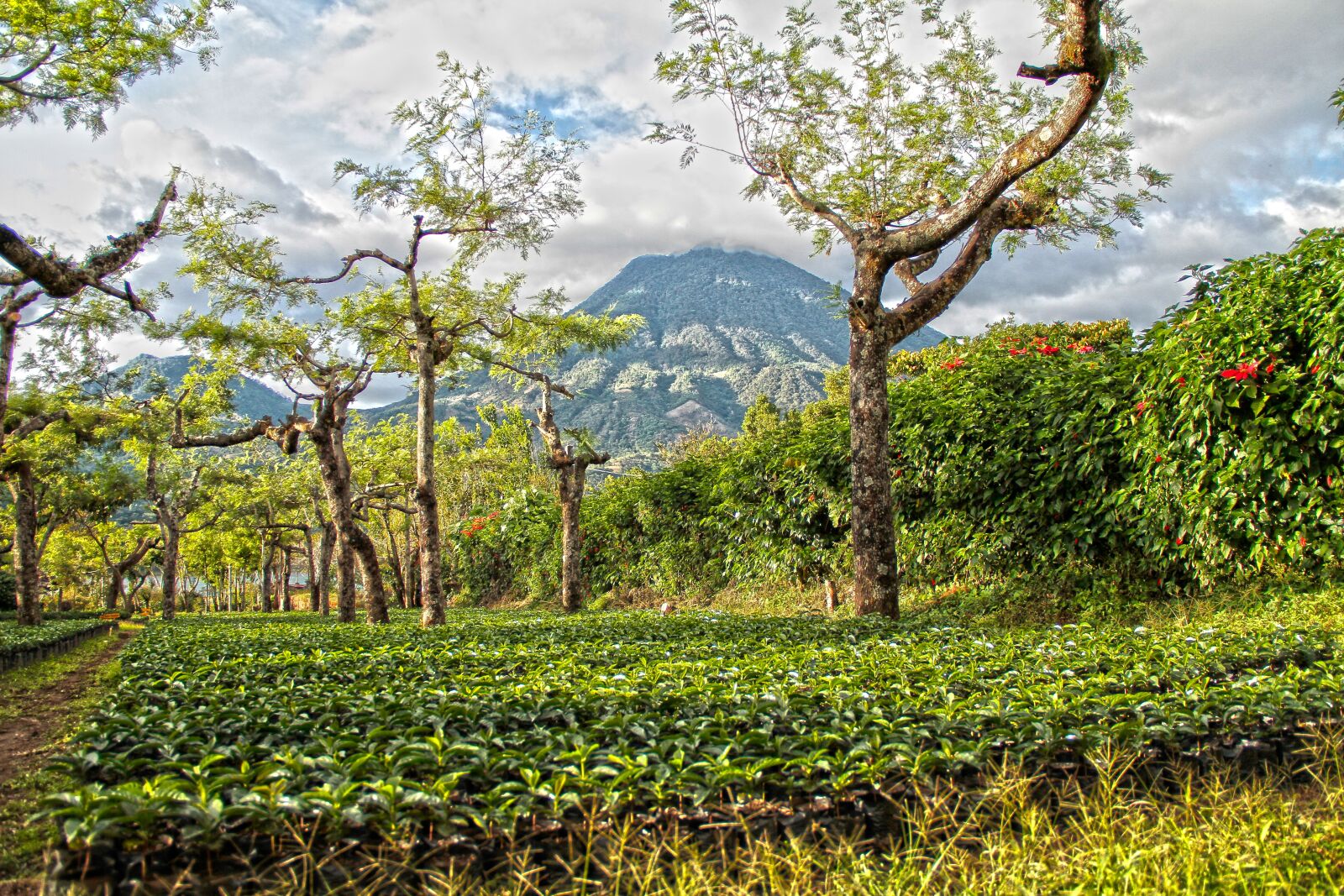 Canon EOS 7D sample photo. Landscape, sky, clouds photography