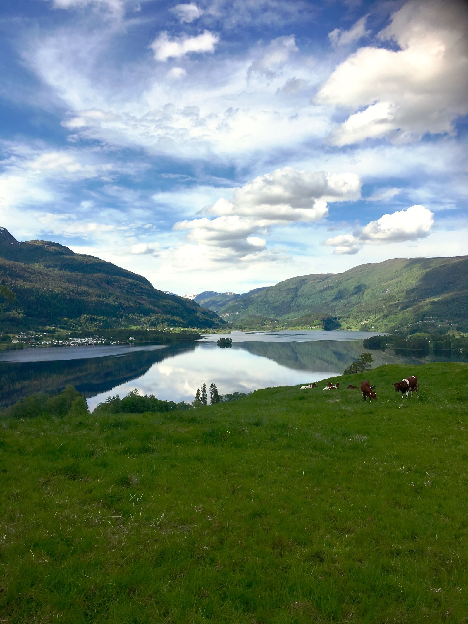 Apple iPhone 6s Plus sample photo. Nature, water, mountain photography