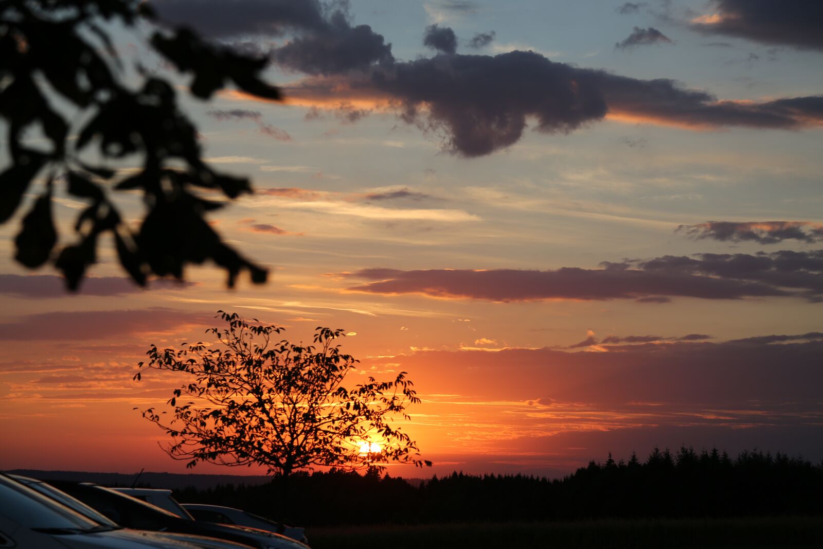 Canon EF 24-105mm F4L IS USM sample photo. Evening, sunset, sun photography