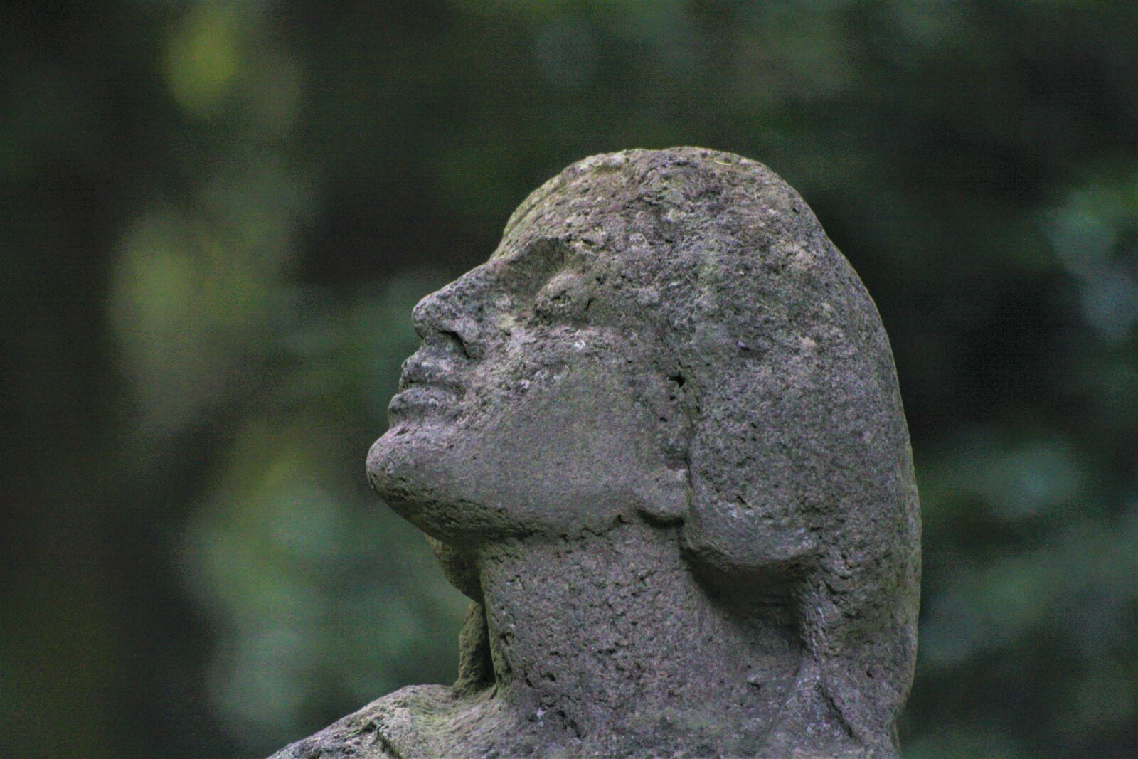 Canon EOS 1000D (EOS Digital Rebel XS / EOS Kiss F) sample photo. Sculpture, angel, tomb photography