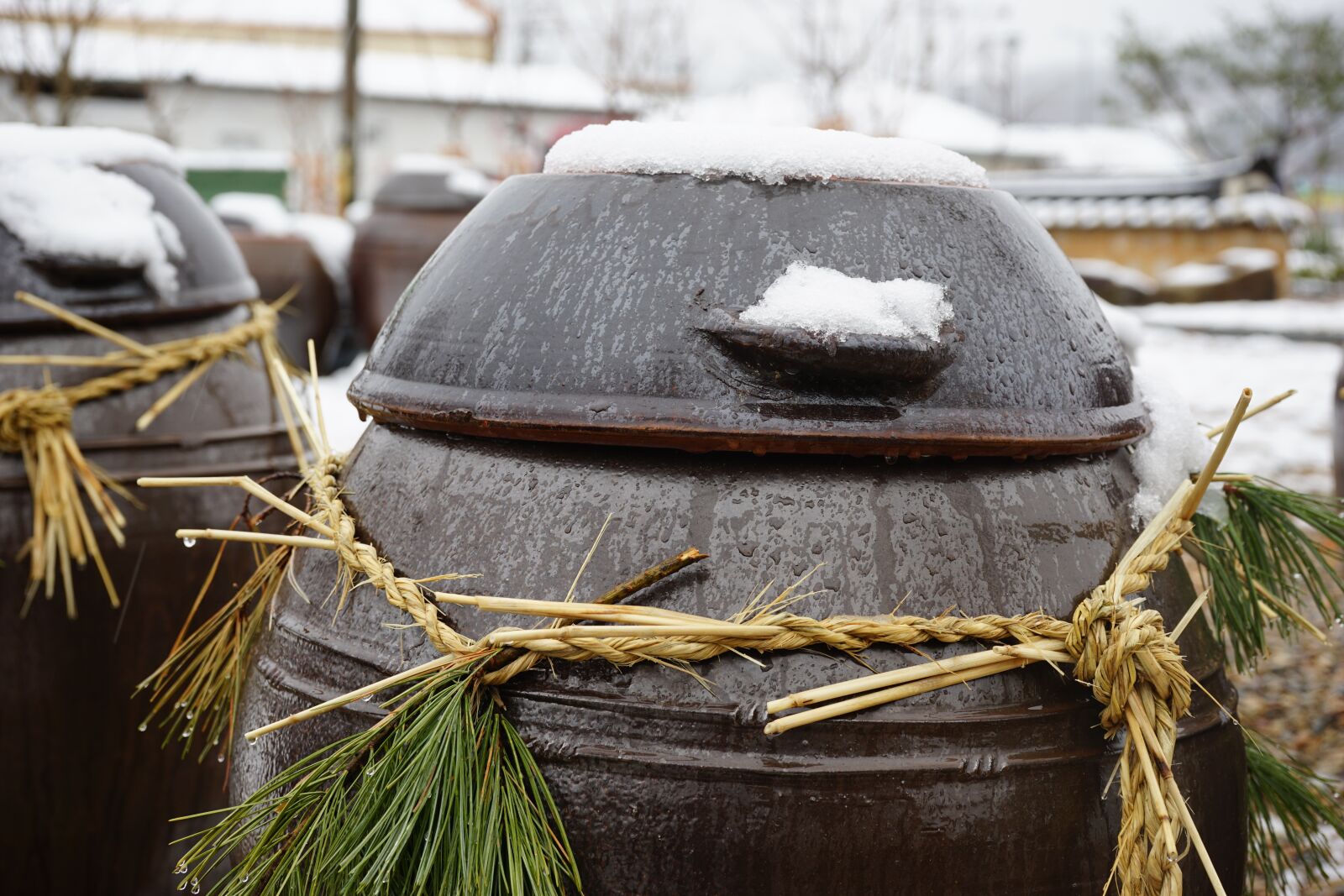 Sony a7 II + Sony FE 28-70mm F3.5-5.6 OSS sample photo. Roof tile, winter, snow photography
