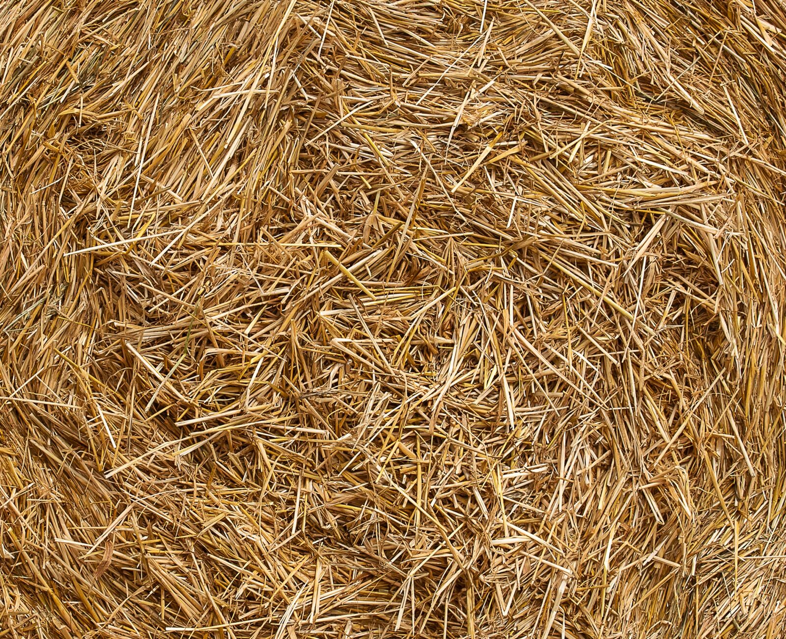 Canon EF 70-300mm F4-5.6 IS USM sample photo. Straw, agriculture, background photography