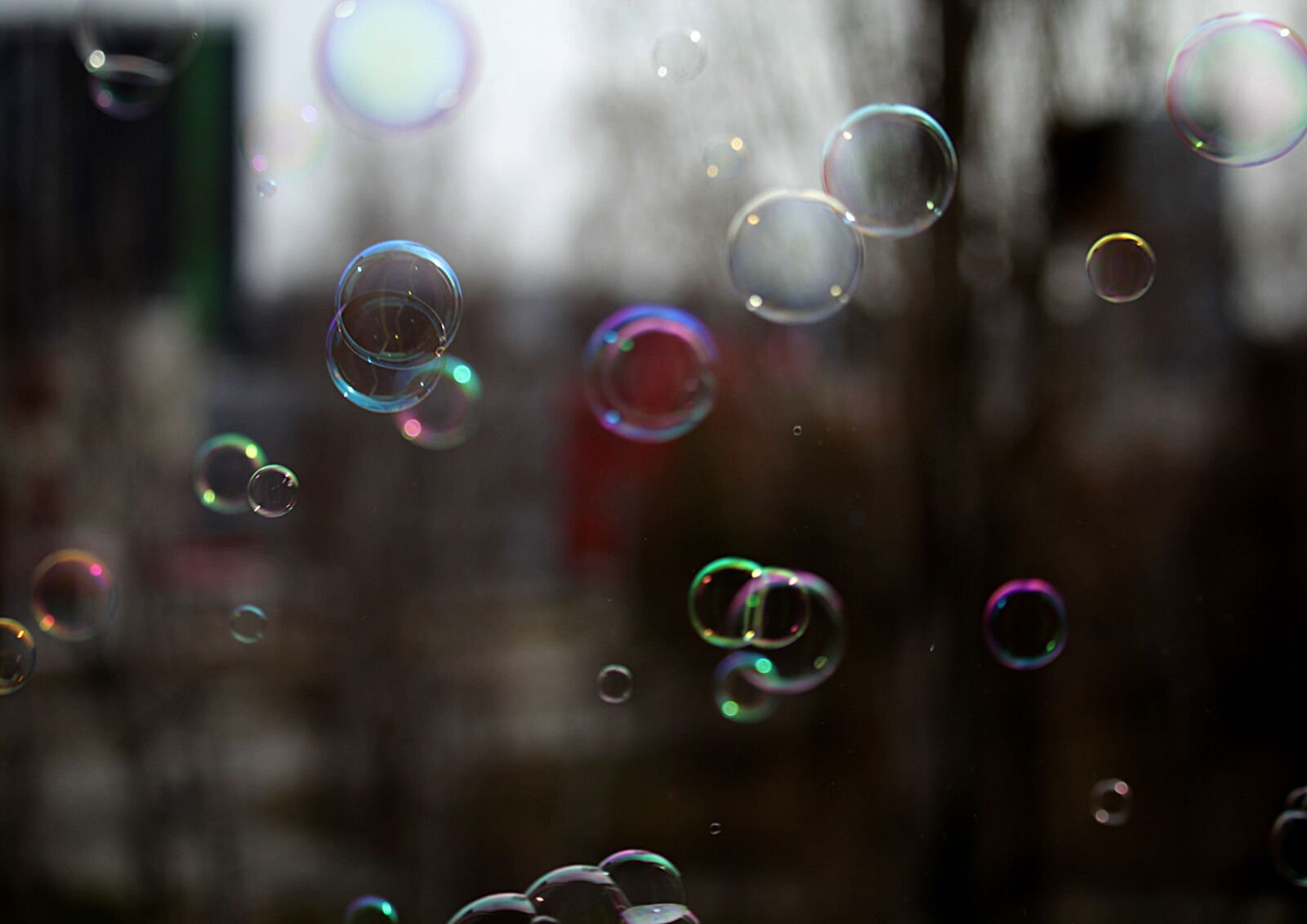 Canon EOS 1200D (EOS Rebel T5 / EOS Kiss X70 / EOS Hi) sample photo. Soap bubbles, soap, bubble photography