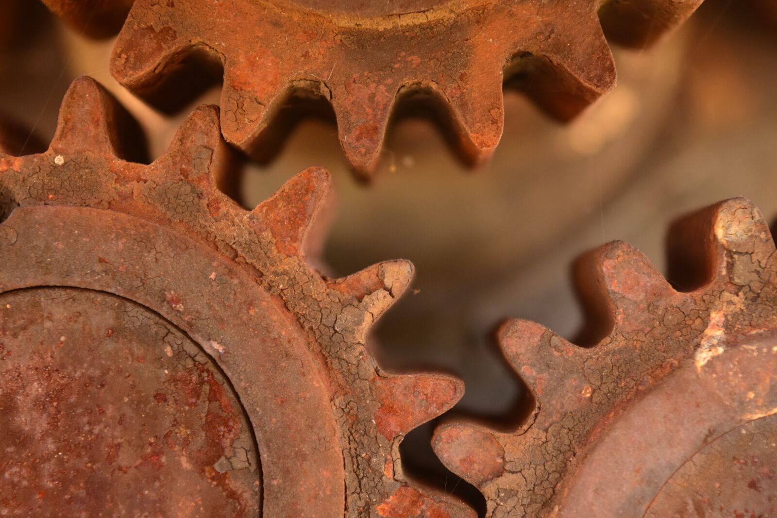Nikon D3300 sample photo. Gears, metal, rust photography