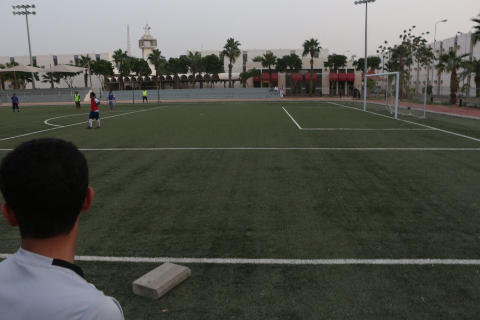 Canon EOS 70D sample photo