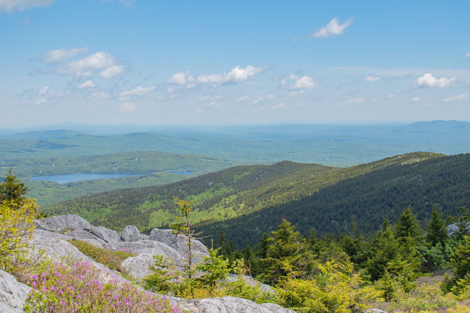 Nikon D5600 sample photo. Landscape, gree, background photography