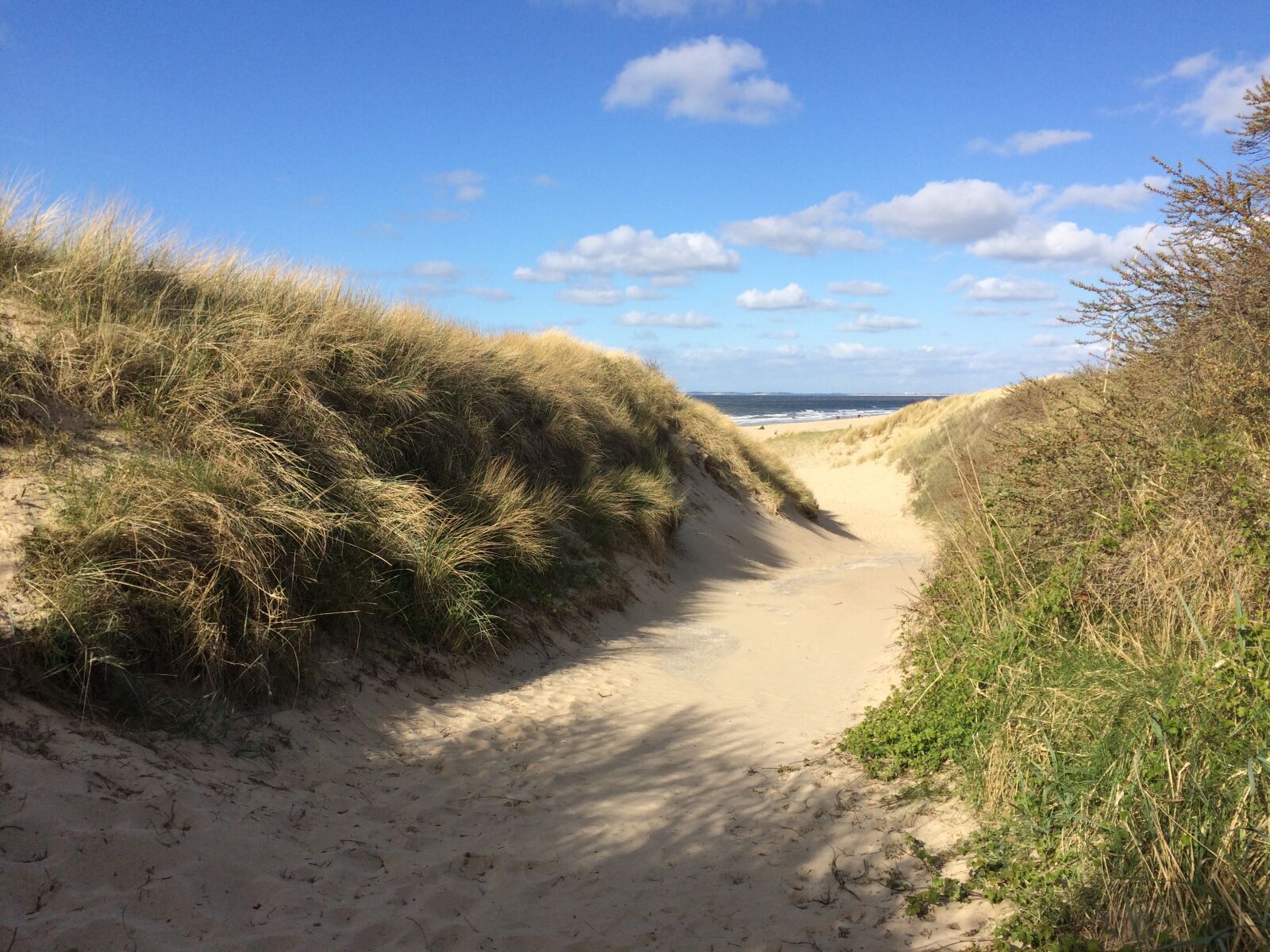 iPhone 5s back camera 4.15mm f/2.2 sample photo. Holland, zeeland, beach photography